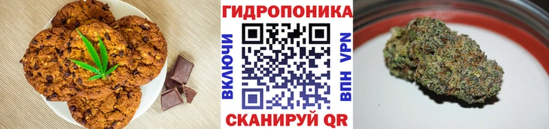 Canna-Cookies марихуана  Углегорск 