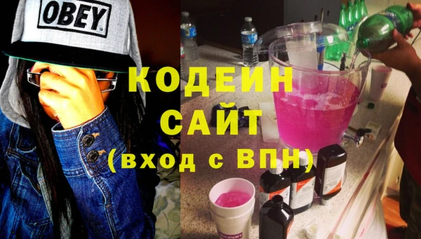 индика Аркадак