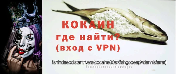 индика Аркадак