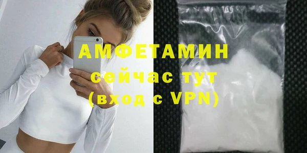 индика Аркадак