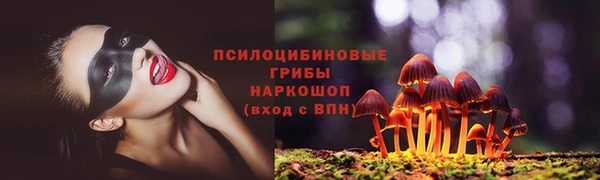 индика Аркадак