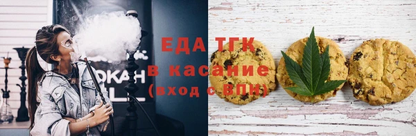 индика Аркадак