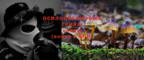 МДМА Арсеньев